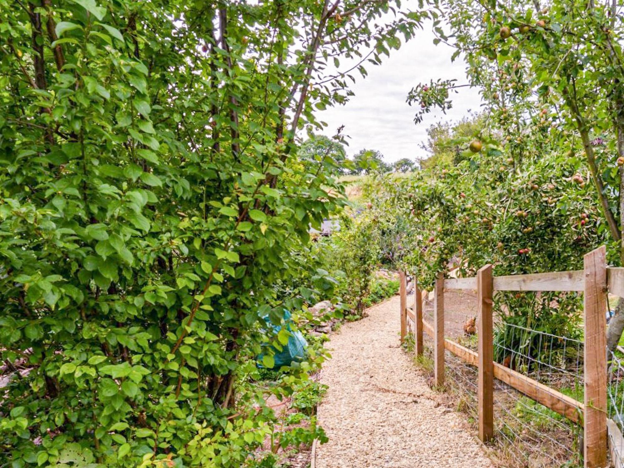 Fig Tree Shepherds Hut Bridport Dış mekan fotoğraf