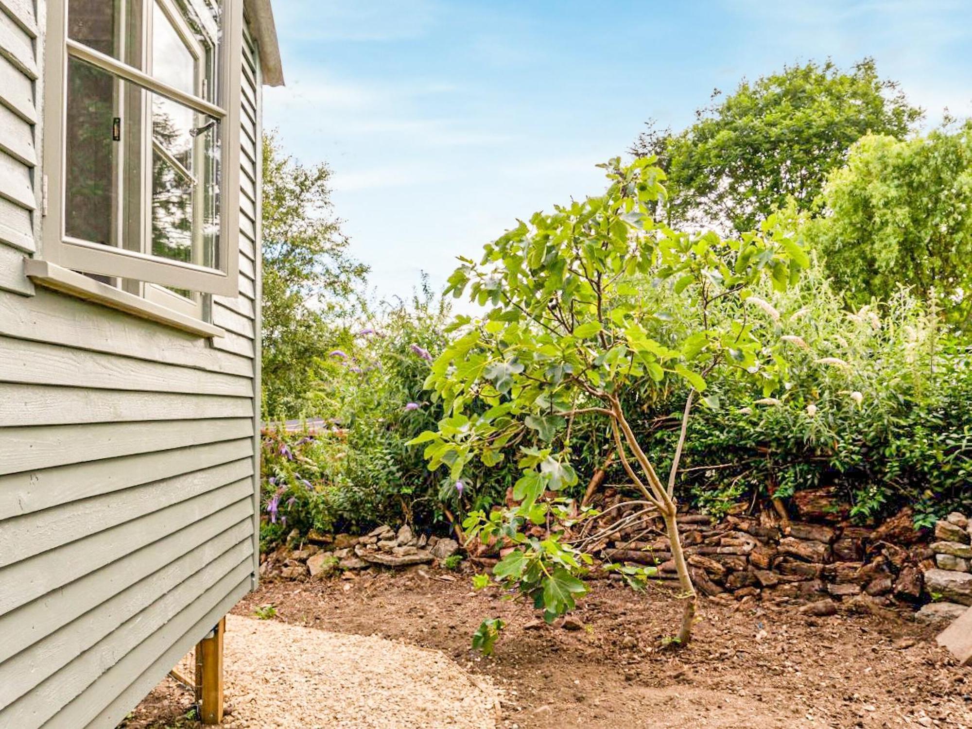 Fig Tree Shepherds Hut Bridport Dış mekan fotoğraf